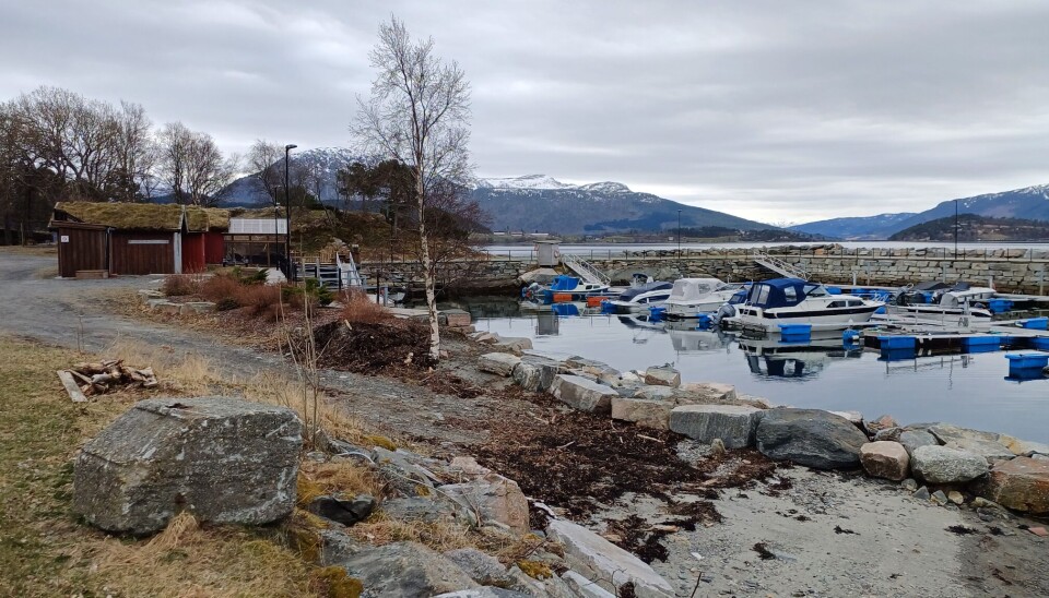 Svissholmen i Stangvik. Båter i havna
