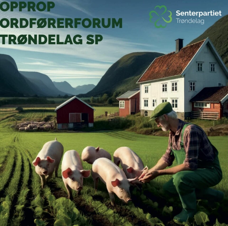 En mann med noen griser foran en gårdsbygning. Påskrift på bildet. 'Opprop ordførerforum Trøndelag SP.