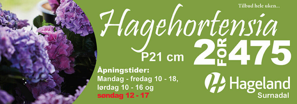 Reklame for Hagehortensia på Hageland