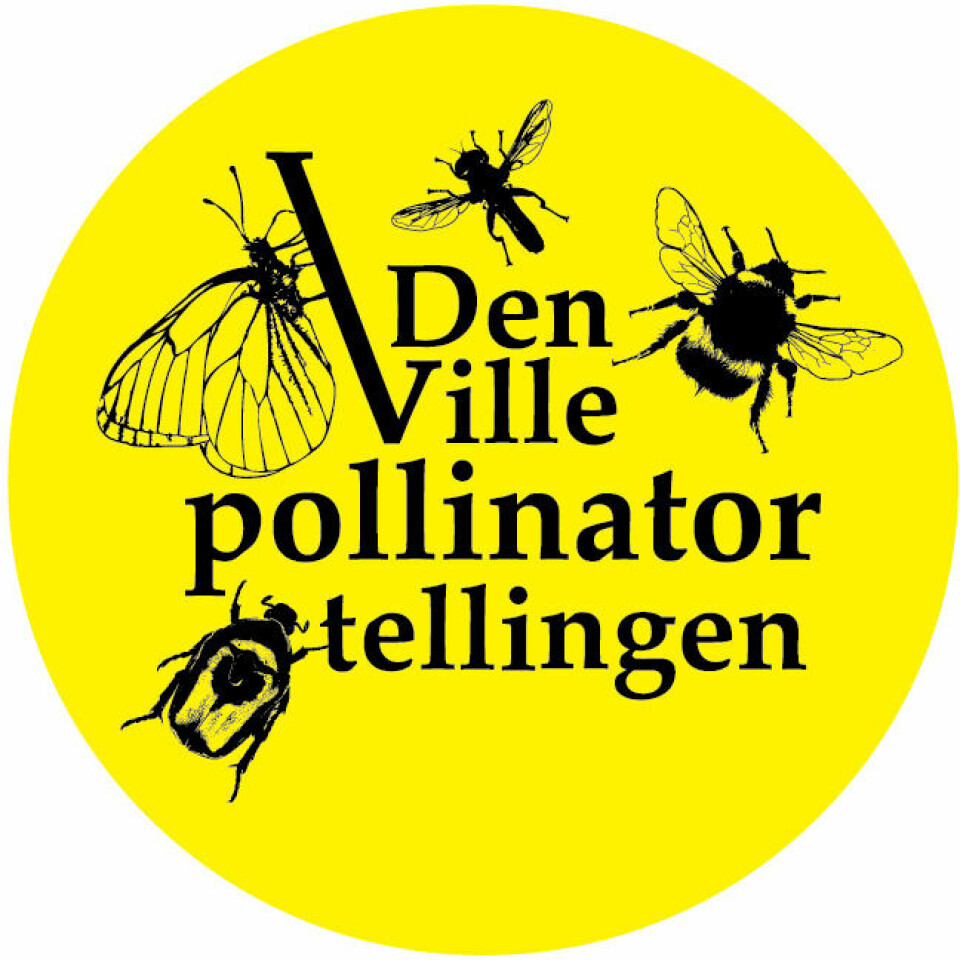 Logo: Den ville pollinatortellingen.