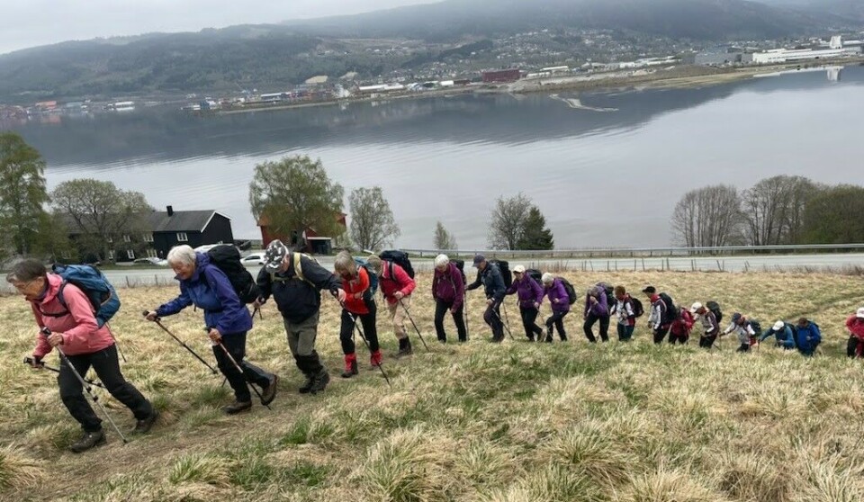 På tur opp lia. Ei rekke med turgåere på vei oppover en sti.