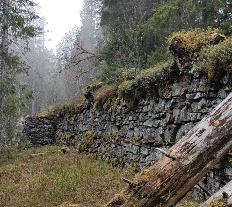 Demninga ved Rovsdammen. En gammel demning bygd av stein.