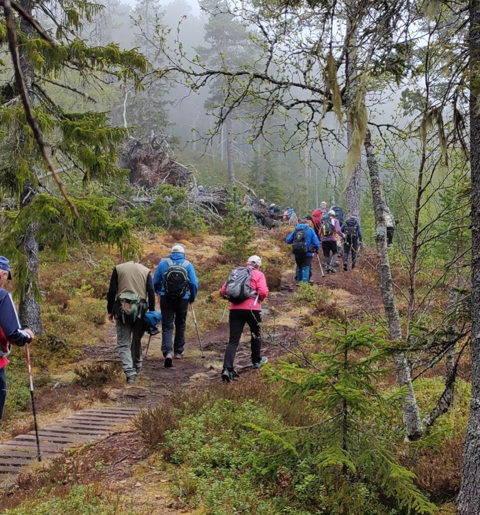 Tirsdagstur til Rokollen Flere turgåere på vei opp en sti.