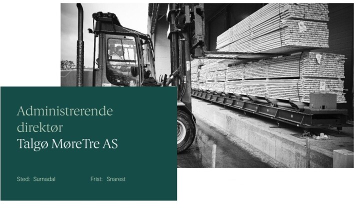 Administrerende direktør Annonse for ledig stilling administrerende direktør for Talgø MøreTre