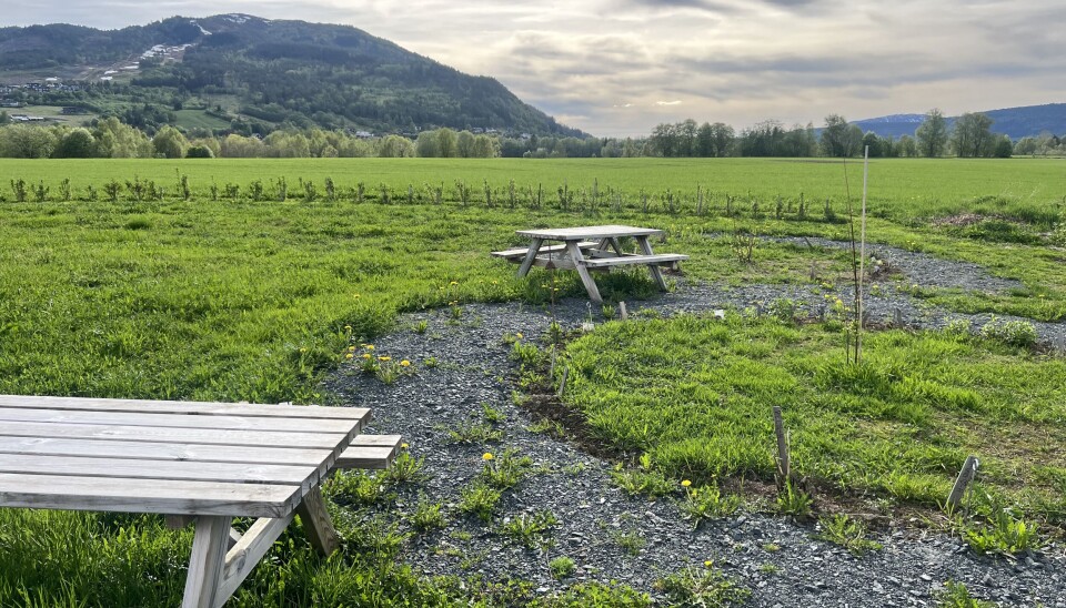 Hageland støtter opp om at folk skal dyrke sjølv, og har sponsa garden med benker som kan brukast av dei som leier jord hos Solveig. benker i hage