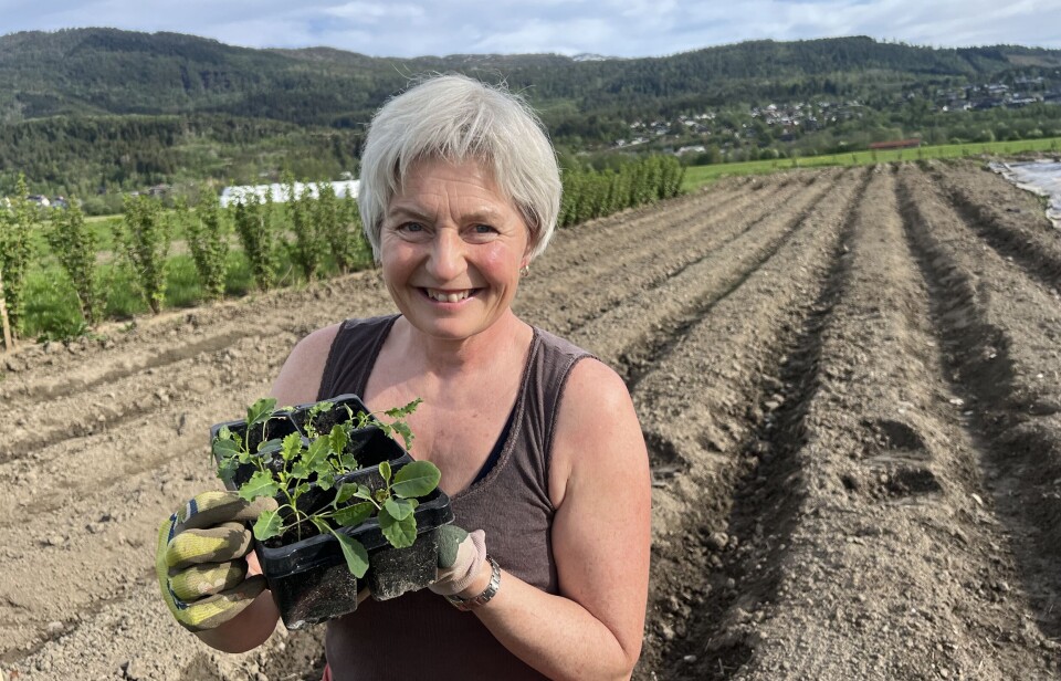 Solveig er klar for ein ny sesong med parsellhage med økologisk dyrking. dame foran pløyd jord