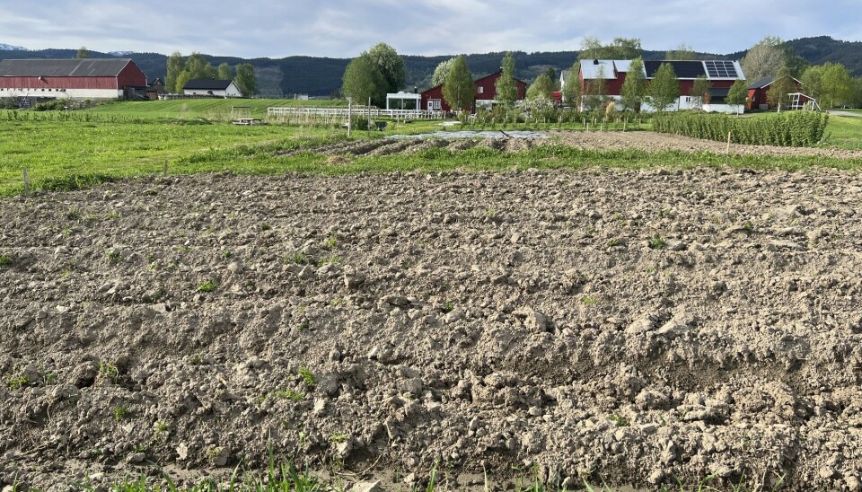 Parsellhagen der ein kan leie eit stykke jord til eiga dyrking parsellhage foran gård
