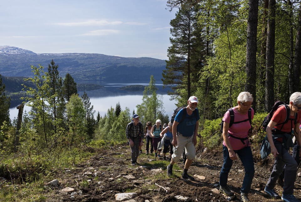 Opp bratt og lang skogsveg heilt til Solemsetra. Ei gruppe turgåere som går oppover en sti.