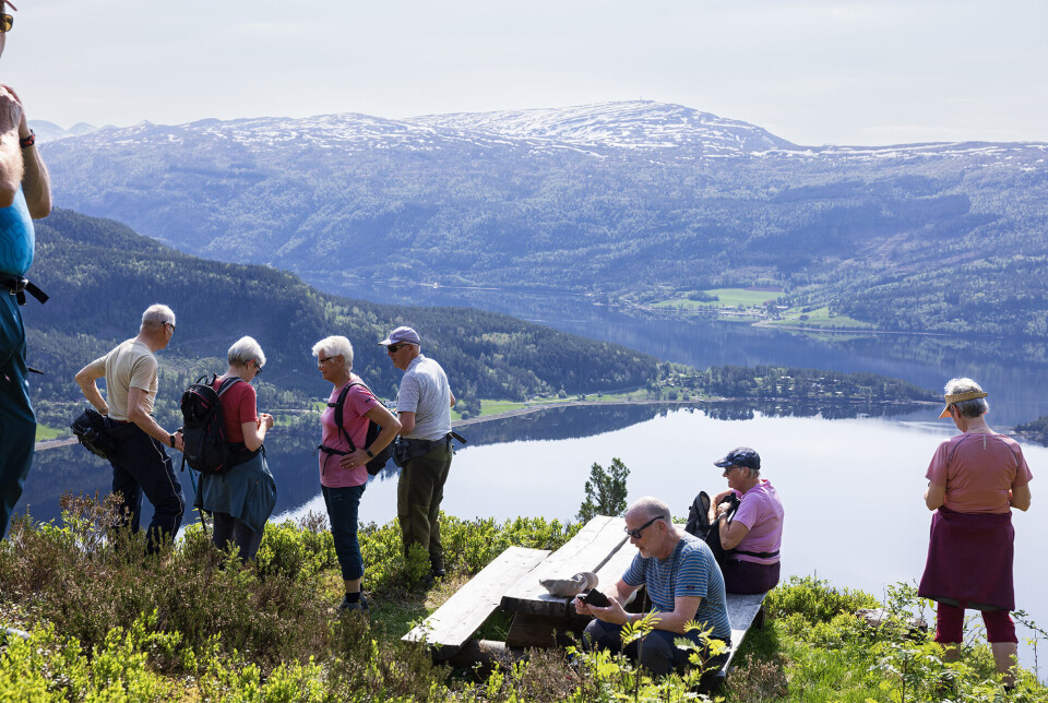 Ser over H.amnesfjorden til Hamnes og Kjergroneset Ei gruppe turgåere som har stoppa og tatt en hvil på en rasteplass med utsikt over fjord og fjell.