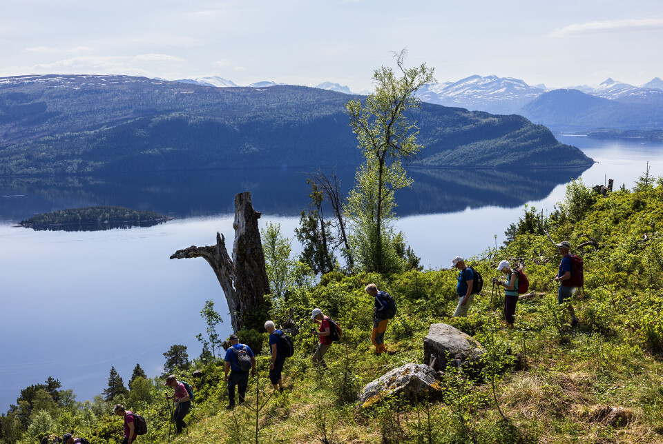 Ned til Litlvika med fin utsikt heile turen. Ei gruppe turgåere som går nedover en sti. Fjord og fjell i bakgrunnen.