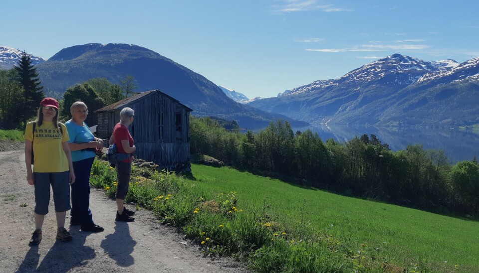 Fire turgåere på en grusvei.