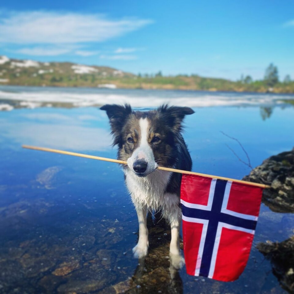 Gratulerer med dagen