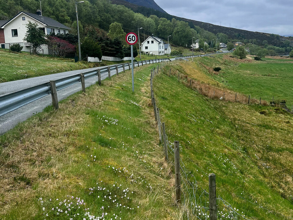 Private gjerder må vere minst 3 meter frå vegkanten