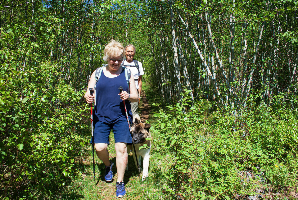 To turgåere med hund på en skogssti.