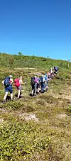 Ei gruppe turgåere på en fjellsti.