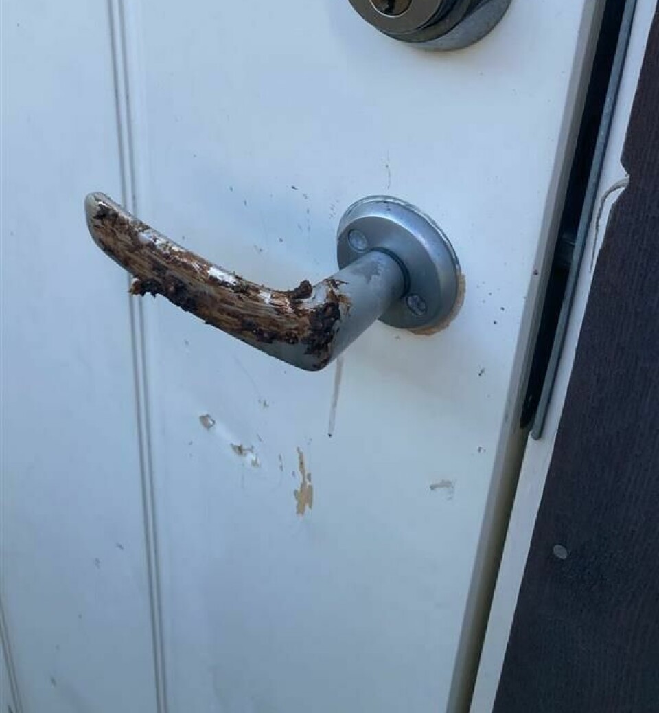 Et dørhåndtak tilgriset med hundeskitt.
