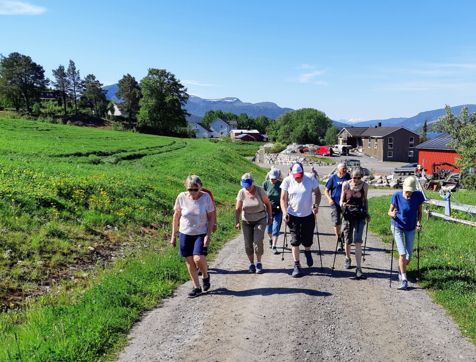 Ei lita gruppe med turgåere som går oppover en grusvei fra en gård, i solskinn.