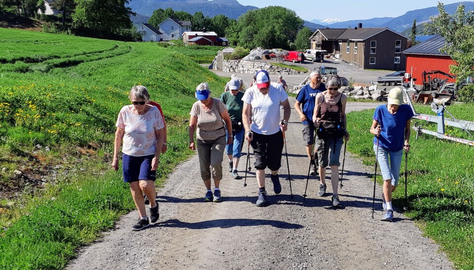 Stavganggruppa i Pensjonistforbundet Surnadal Ei lita gruppe med turgåere som går oppover en grusvei fra en gård, i solskinn.