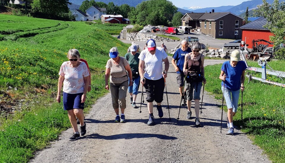 Stavganggruppa i Surnadal pensjonistlag bøkeskogen i Stangvik. Ei lita gruppe med turgåere som går oppover en grusvei fra en gård, i solskinn.
