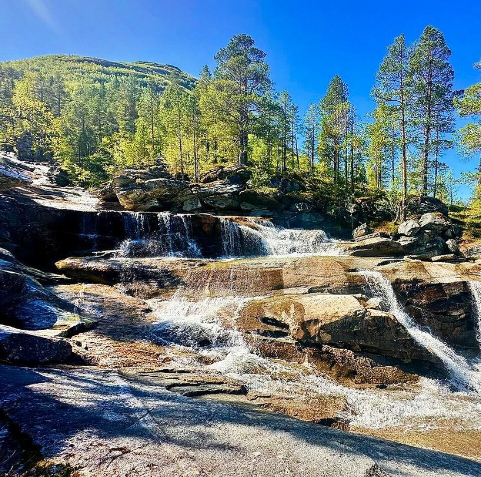 Vindøldalen’s svar på Niagara falls🤩 For en flott mai vi har. Fagerlidalsbekken på sitt vakreste, snart er jettegrytene klar for å bades i🤩 En bekk som renner over steingrunn.