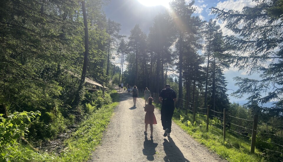 Turen opp til Kleiva blei idyllisk i det fine vêret. folk går opp en bakke i skogen