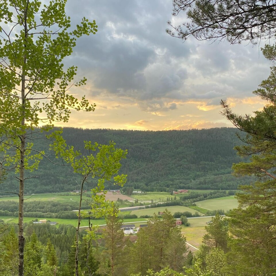 #surnadal Utsikt fra en høyde. Grønne enger.