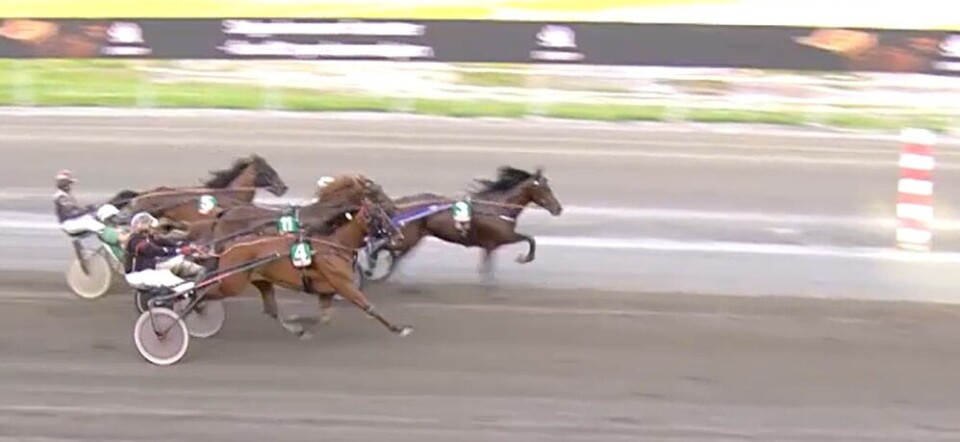 Løp nr 4 ble avgjort rett før målstreken. Hest nr 3 Rush var først, etterfulgt av nr 4 Shoshone, nr 11 Mr Pagadi og nr 5 Kvåles Corona. (Av en eller annen grunn blir skjermbilder akkurat ved målpassering vedlig utydelige.) Et travløp