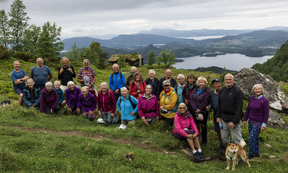 Fjellgruppetur til Fløystadfjellet Ei gruppe turgåere og en hund oppstilt til fotografering med fin utsikt i bakgrunnen.