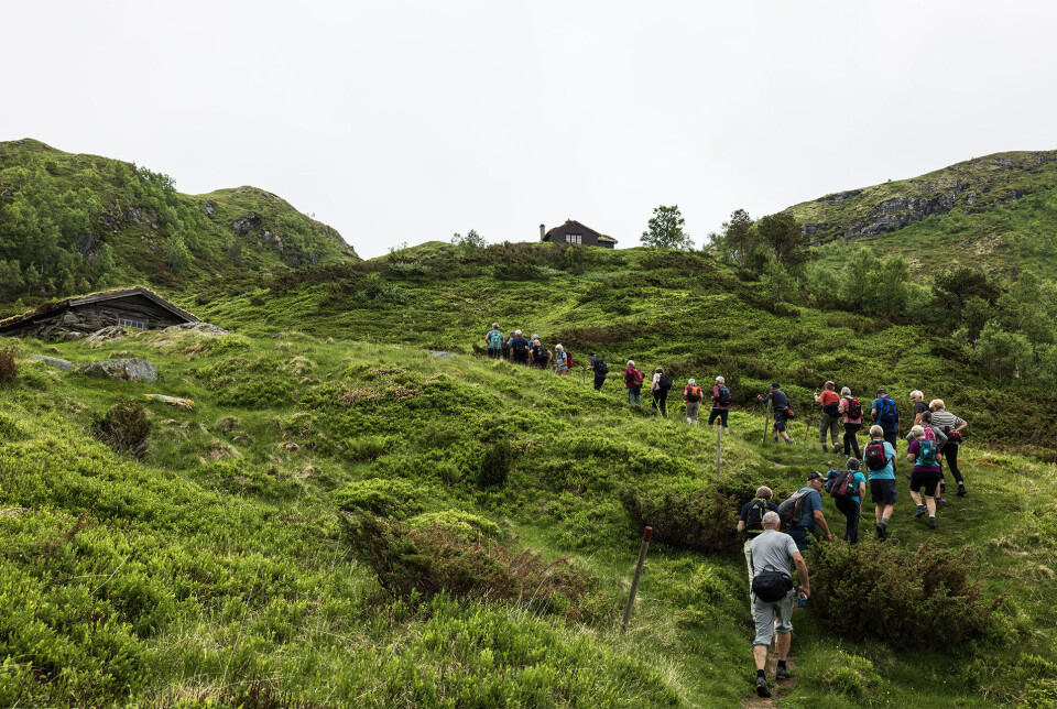 Fin sti opp mot Nysetra. Mange turgåere på rekke og rad på en sti opp mot fjellet.