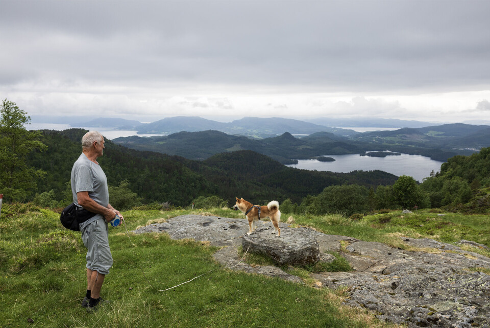 Turglad hund på Nysetras setervoll. En mann og en hund på fjellet. Utsikt over fjord og fjell i bakgrunnen.