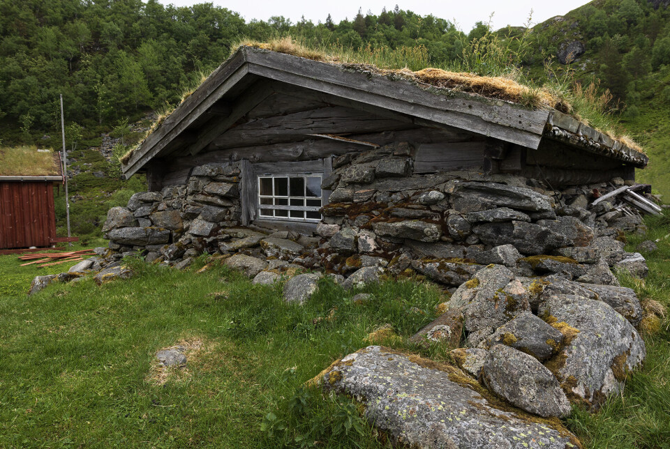 Nysetras gamle fjøs har stor sjarm. Et gammelt seterhus bygd av stein og tømmer.