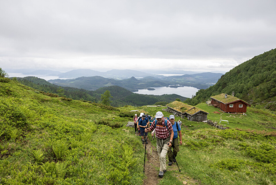 Opp frå Nysetra mot Fløystadfjellets topp. Ei rekke med turgåere oppover en sti på fjellet. Ei gammel seter, fjord og fjell i bakgrunnen.