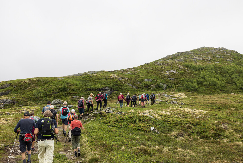 Alle 25 er glade for endeleg å sjå toppen. Turgåere på rekke og rad oppover en fjellsti.