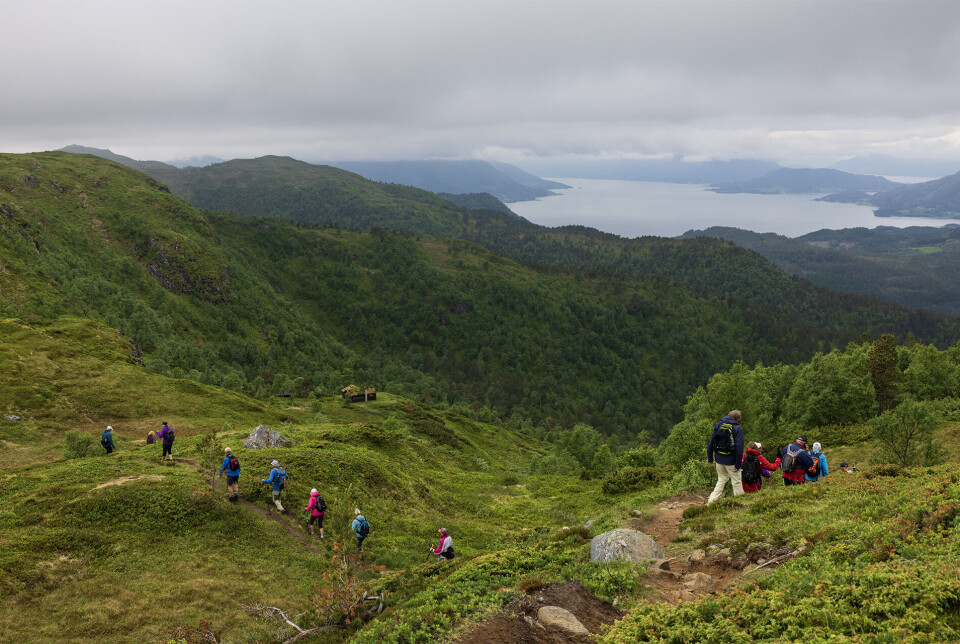 God og fin sti i eventyrleg vakkert landskap. Mange turgåere på rekke og rad nedover en fjellsti. Fjord og fjell i bakgrunnen.