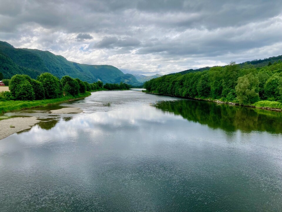 Elva har gode temperaturer og laksen er observert. Elva renner stille ved brua på Honnstad