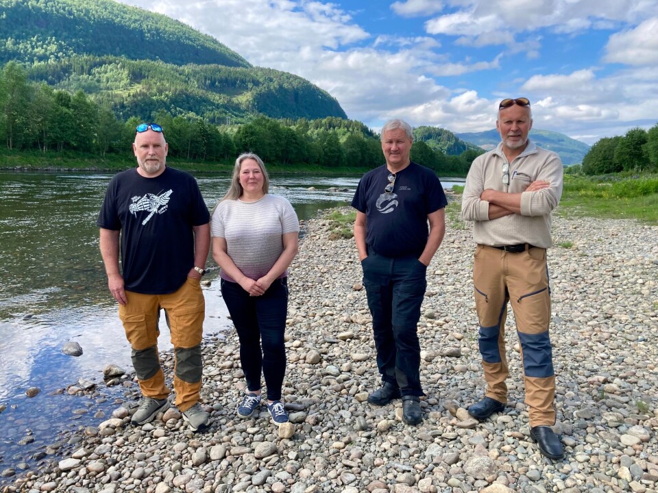 Lakseentusiaster: f.v Jostein Tellesbø, Annett Ranes, Georg Solem og Arne O. Sæter Fire smilende personer oppstilt foran elva