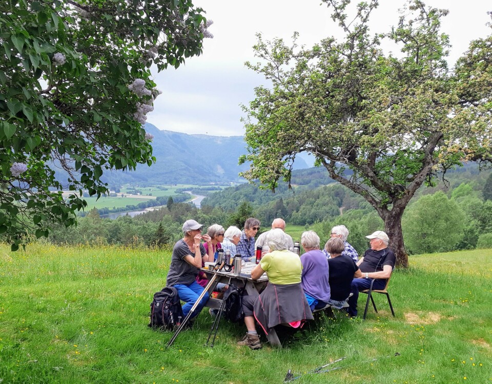 Kaffekopp Mennesker sittende ved et bord ute i naturen. Drikker kaffe.