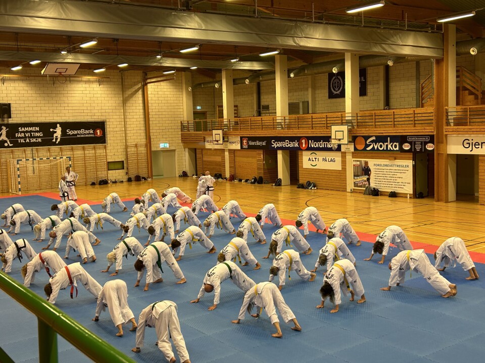 Denne gjengen er både myke, sterke og utholdende