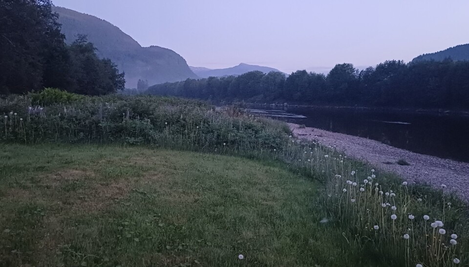 Nedover Kragneshølen. gress ved elv