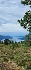 Utsiktsbilde fra fjellet ned mot fjorden