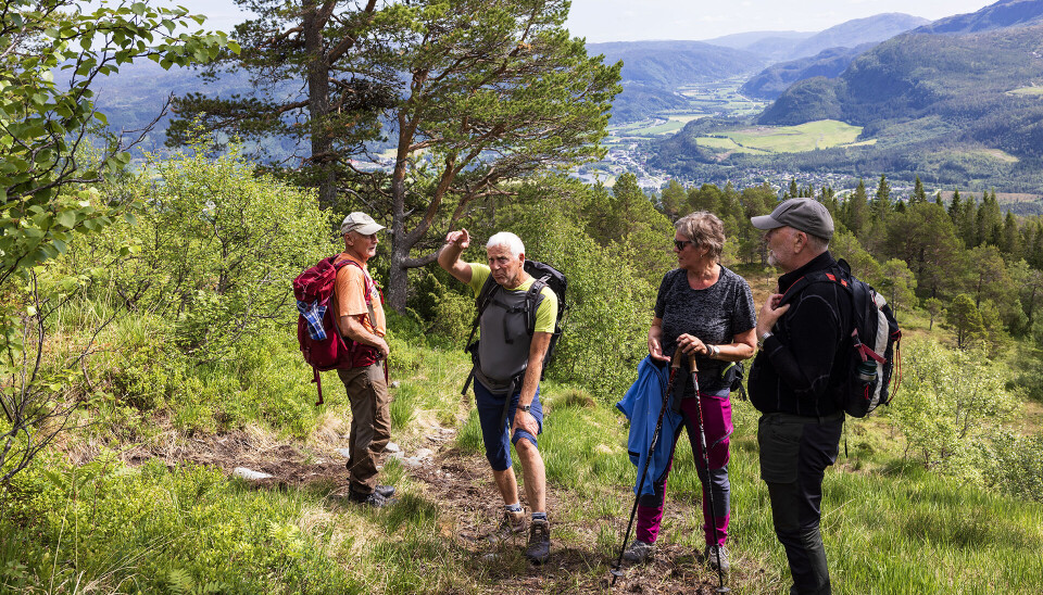 Frå grusvegen over på sti