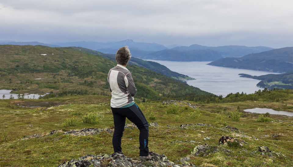 God utsikt mot vest og over Surnadalsfjorden