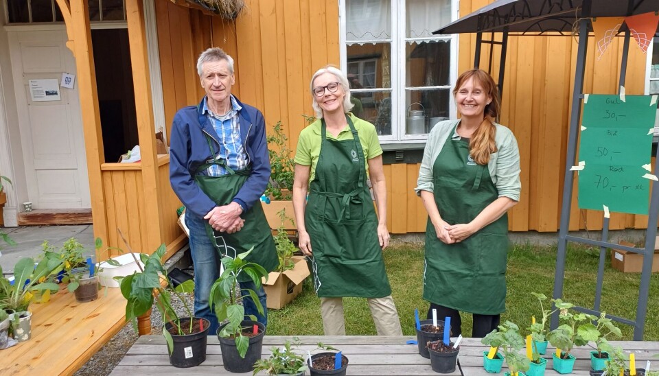 Kjell Bævre, Rønnaug Skjærmo og Siv Anne Rodal stod for salget. tre folk med grønt forkle foran gult hus med planter foran seg