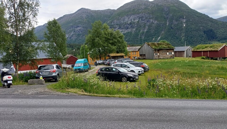 Det ble et bra oppmøte på planteloppemarkedet. biler parkert på gress ved veg