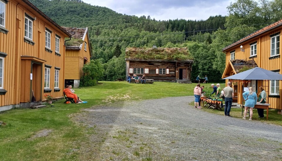 Tunet på Åsen bygdemuseum. folk på gårdstun, gule hus