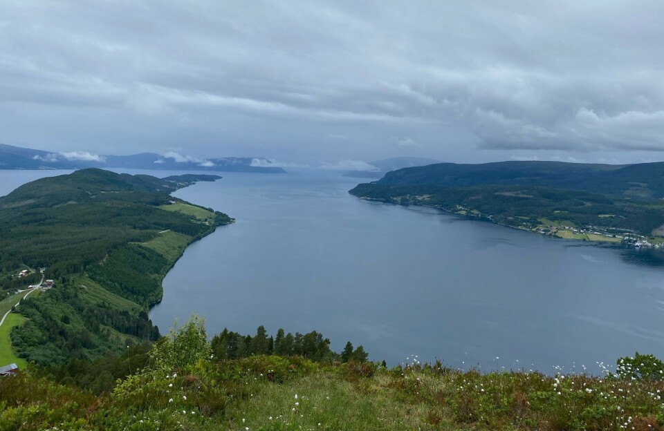 Halskammen, Ålvundfjord. utsikt fra fjell