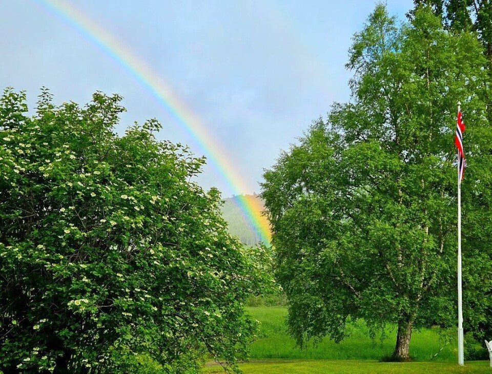 God morgen 12. juni