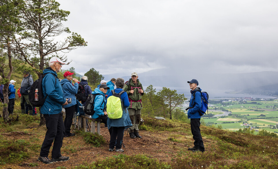 Arkivfoto Ei gruppe turkledde folk på et utsiktspunkt i marka.