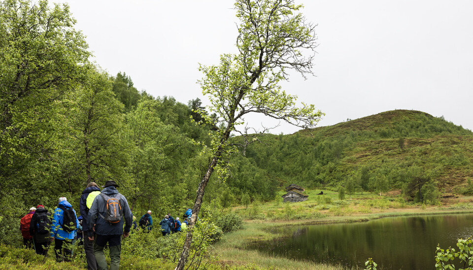 Langs Ranessetervatnet til Ranessetra. Ei gruppe turkledde folk som går på en fjellsti langs et vatn.