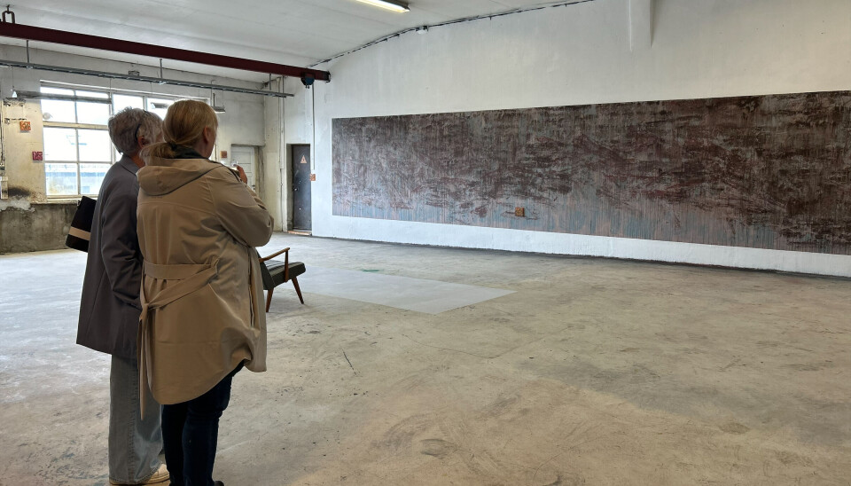 Fra Rothko Museum til Surnadal Billag To damer som beundrer et stort maleri på en vegg.